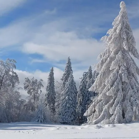 Domek Na Przeleczy Ochotnica Górna Exterior foto
