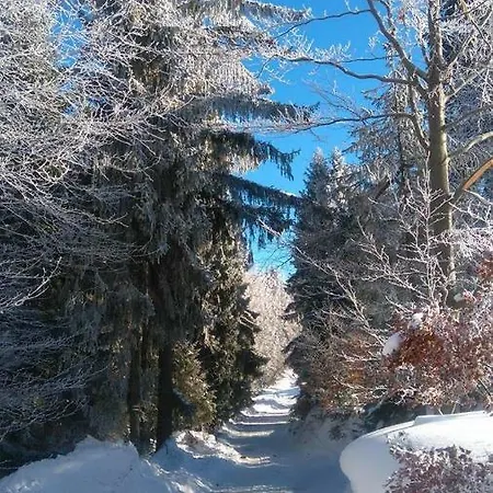 Domek Na Przeleczy Ochotnica Górna Exterior foto